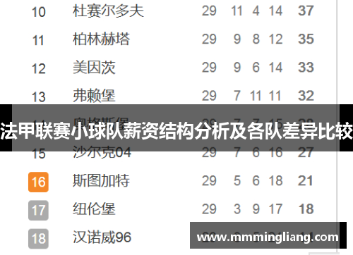 法甲联赛小球队薪资结构分析及各队差异比较