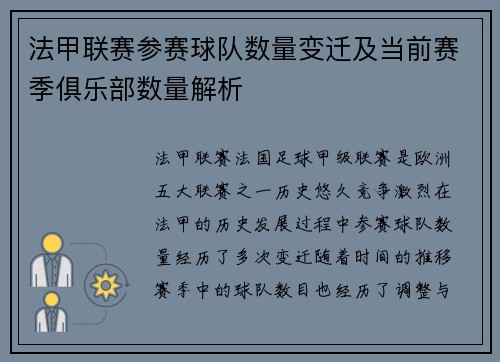 法甲联赛参赛球队数量变迁及当前赛季俱乐部数量解析